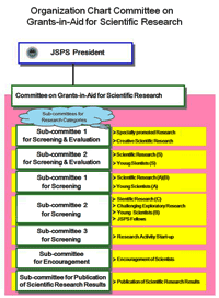 Organizational Chart of the Committee