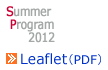 PDF File