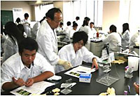 土壌微生物や昆虫の観察、植物の分析などの実験風景