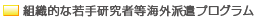 �g�D�I�Ȏ�茤���ғ��C�O�h���v���O����