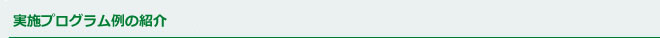 実施プログラム例の紹介
