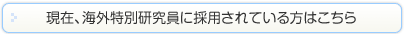 現在、海外特別研究員に採用されている方はこちら