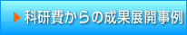 �Ȍ����̐��ʓW�J����