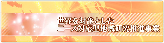 ���E��ΏۂƂ����j�[�Y�Ή��^�n�挤�����i����