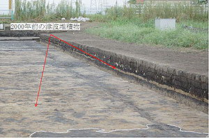 図１　沓形遺跡に広がる2000年前の津波によりもたらされた海浜砂