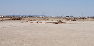 図３　2011年3月に襲来した巨大津波により内陸2.3キロまでもたらされた膨大な量の海浜砂