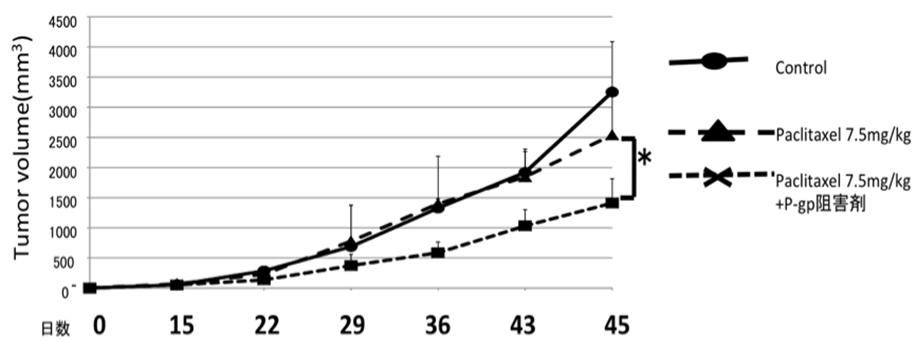 図４　がんの血管に発現するトランスポーター阻害による抗腫瘍効果