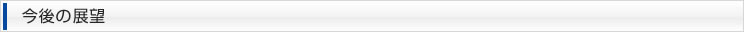 今後の展望