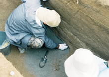 写真：古環境復元用サンプルの採取