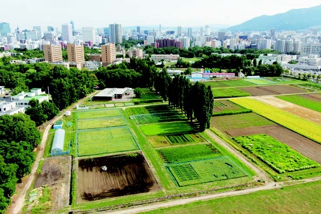北海道大学リーフレット_R7_ L