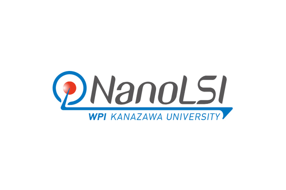 NanoLSI