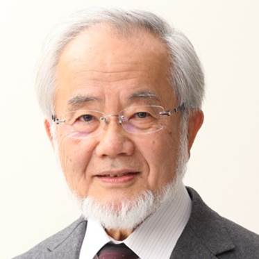 OSUMI Yoshinori