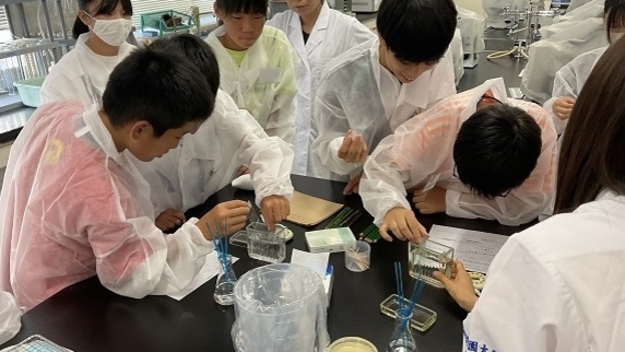 食品から分離した細菌の形態を顕微鏡で観察することで、肉眼では見えないけれども身近な存在である細菌の魅力を体感しました。