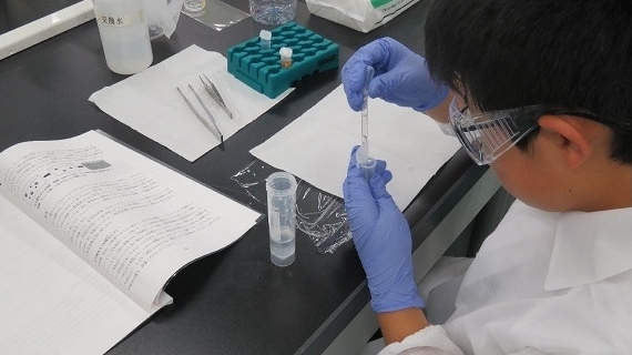 メダカの透明骨格標本の作製や顕微鏡での観察を通して、骨格構造と機能の関係や細胞の働きなどを学びました。
