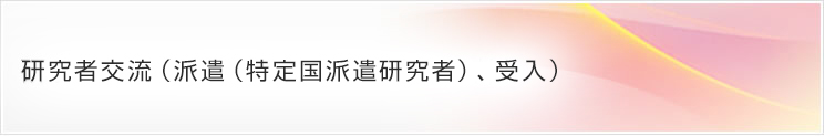 研究者交流（派遣（特定国派遣研究者）、受入）