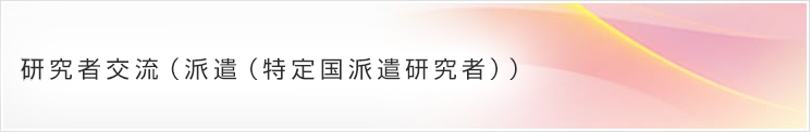 研究者交流（派遣（特定国派遣研究者））