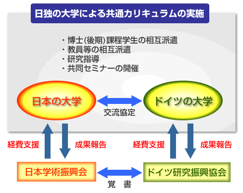 共通カリキュラム実施概要図