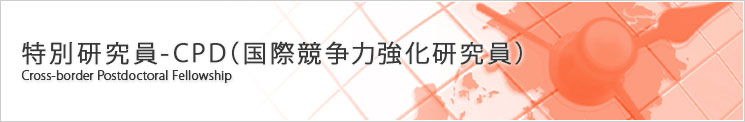 特別研究員-CPD