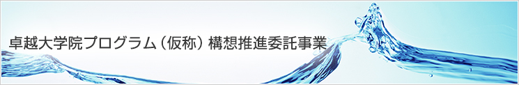 卓越大学院プログラム（仮称）構想推進委託事業