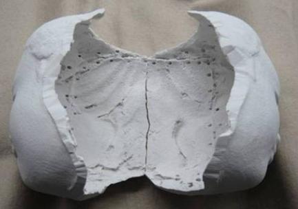 X線ctを用いた国宝阿修羅像の健康状態調査と製作技術の解明 事業の成果 日本学術振興会