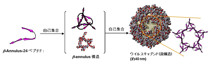 日本学術振興会